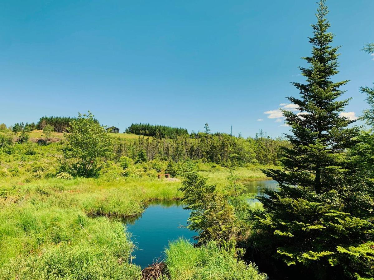Eagle Valley Cottages Queensport Exteriör bild